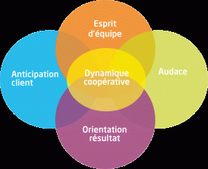 dynamique-cooperative